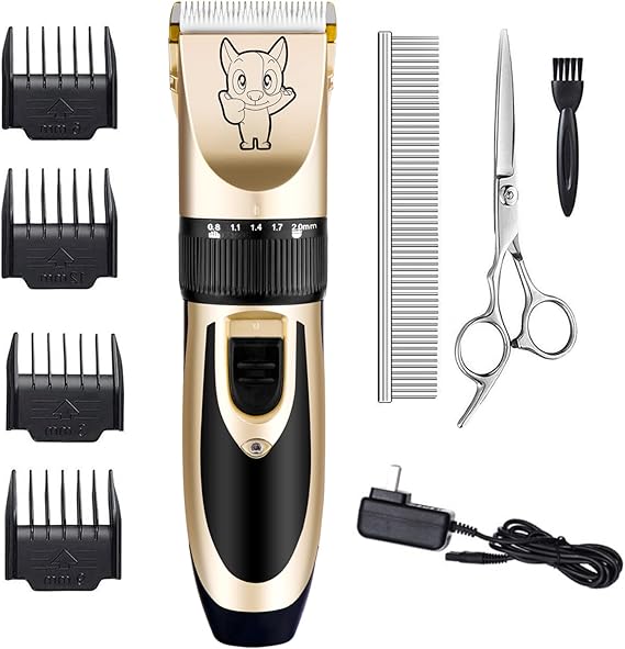 cat clipper
