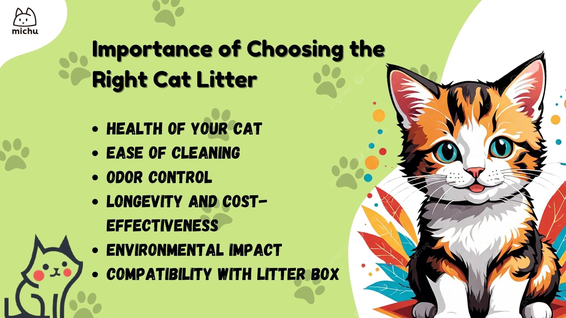 cat grooming tools