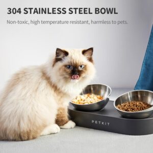 The Best Cat Food and Water Bowls for Cats