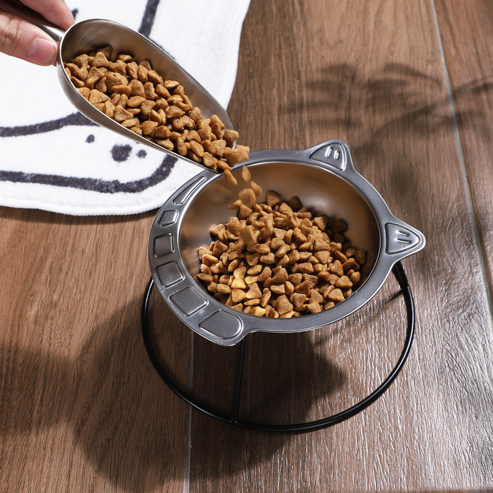 Ultimate Guide to Choosing the Best Cat Food and Water Bowls - Conclusion and Final Thoughts